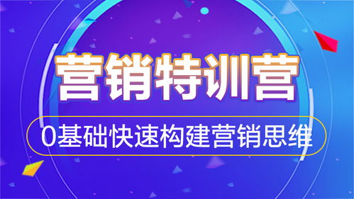 互聯網營銷特訓營 0基礎快速構建營銷思維，掌握銷售實戰
