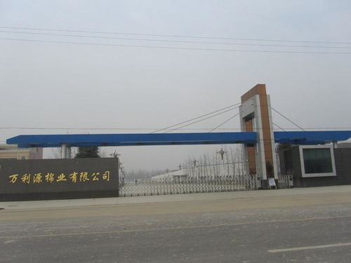 貴州萬(wàn)利源計(jì)算機(jī)系統(tǒng)集成 驅(qū)動(dòng)數(shù)字化轉(zhuǎn)型的專業(yè)力量